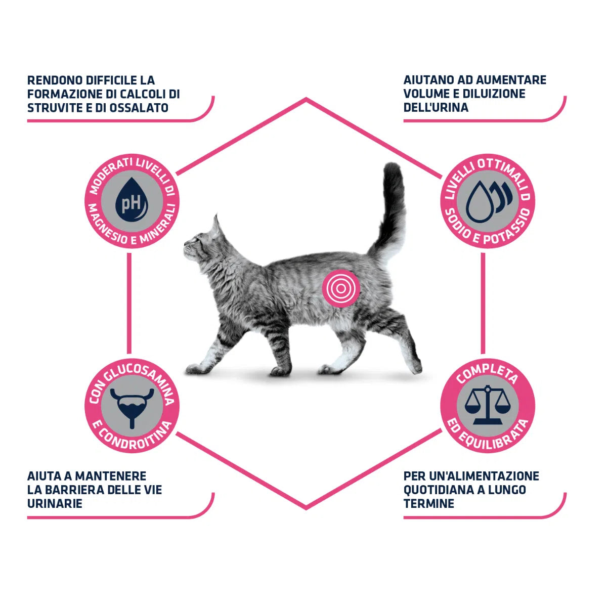 Advance Cat Urinary 3kg Advance Cat Urinary 3kg